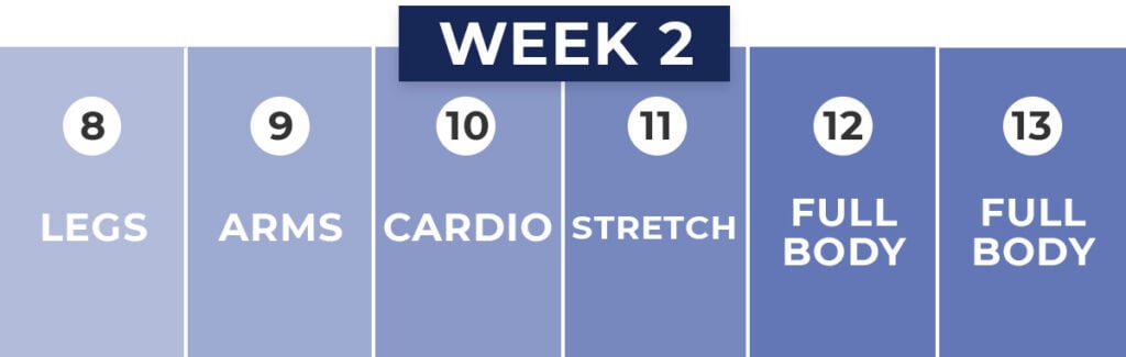 WEEK 2 of beginner workout plan