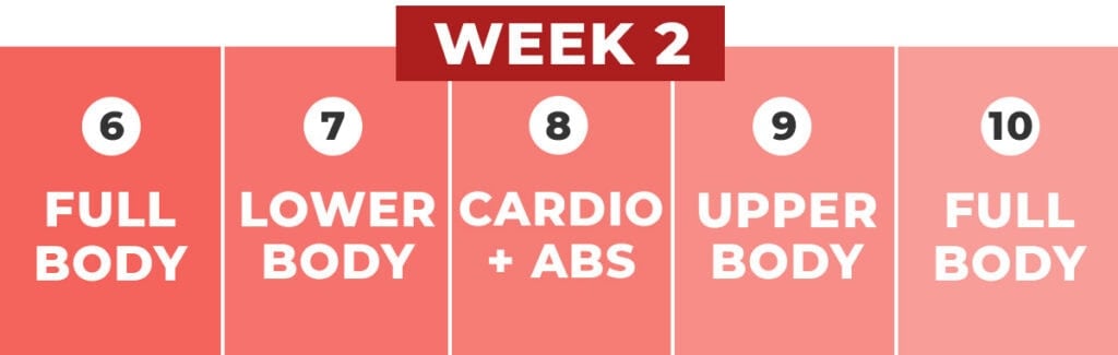 calendar of week 2 of muscle building workout plan